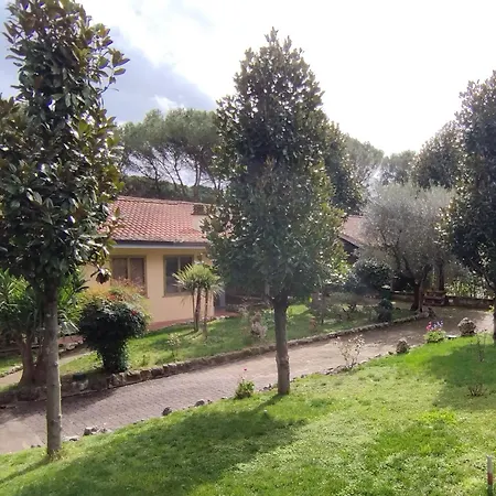 Vivas Rubra Bed & Breakfast Roma