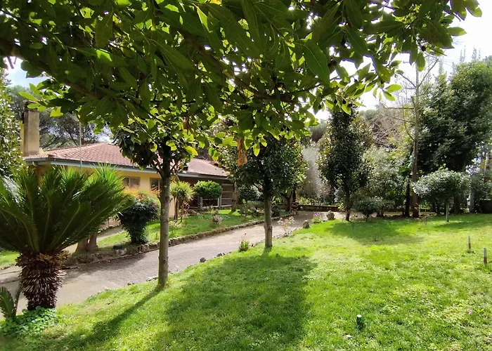 Vivas Rubra לינה וארוחת בוקר רומא