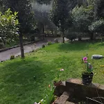 Vivas Rubra