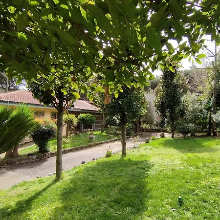 Vivas Rubra Bed & Breakfast Rome